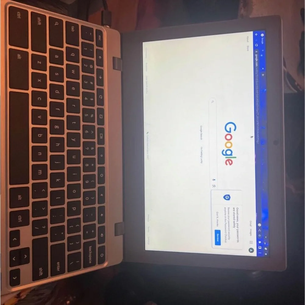 Google Chrome Book